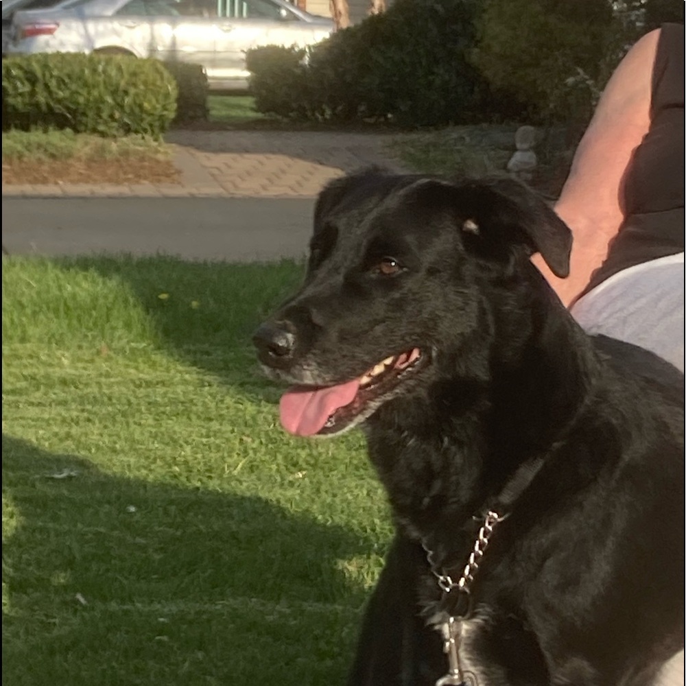 Meet your Posher, Carolyn